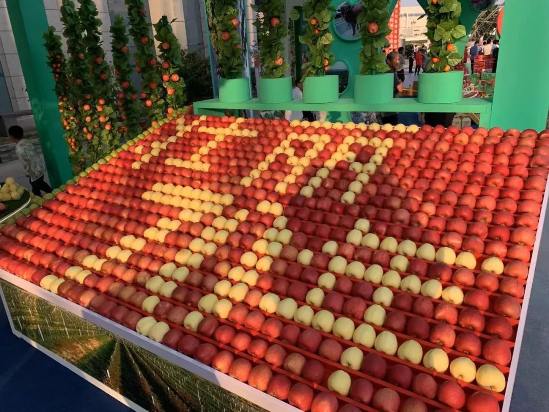 关于甘肃平凉苹果贸易新闻的信息-第1张图片-果博
