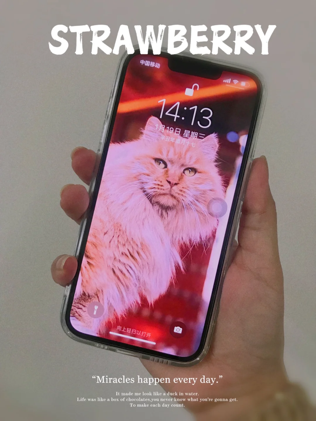 voi安卓版华为voi公司诈骗最新情况-第2张图片-太平洋在线下载 voi安卓版华为voi公司诈骗最新情况-第2张图片-太平洋在线下载