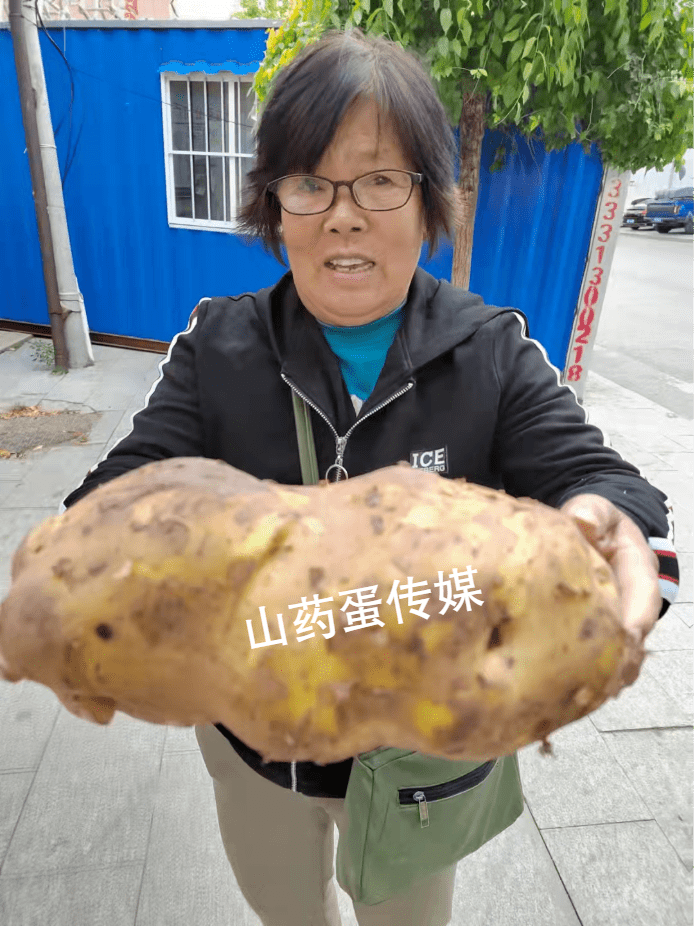 土豆网手机客户端土豆网手机客户端电影-第2张图片-太平洋在线下载